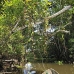 lake_mandicocha_la_v_0242_ecu0945.jpg